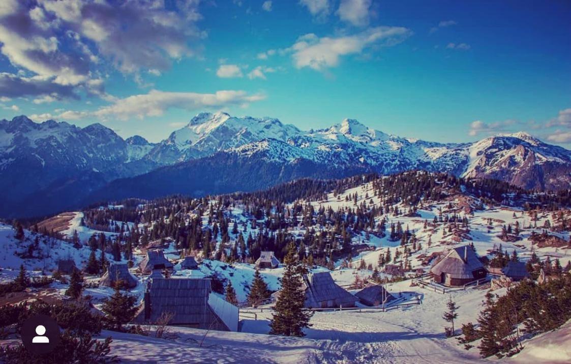 StahovicaChalet Velika Planina-I Feel Alps别墅 外观 照片
