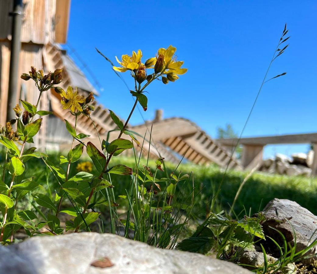 Chalet Velika Planina - I Feel Alps Stahovica 外观 照片