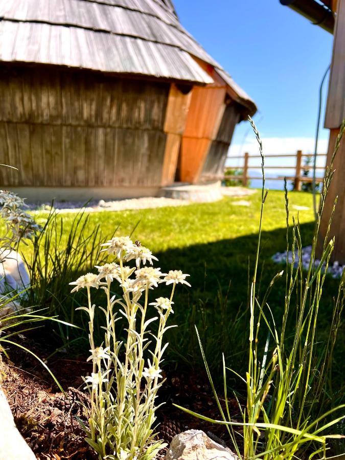 Chalet Velika Planina - I Feel Alps Stahovica 外观 照片