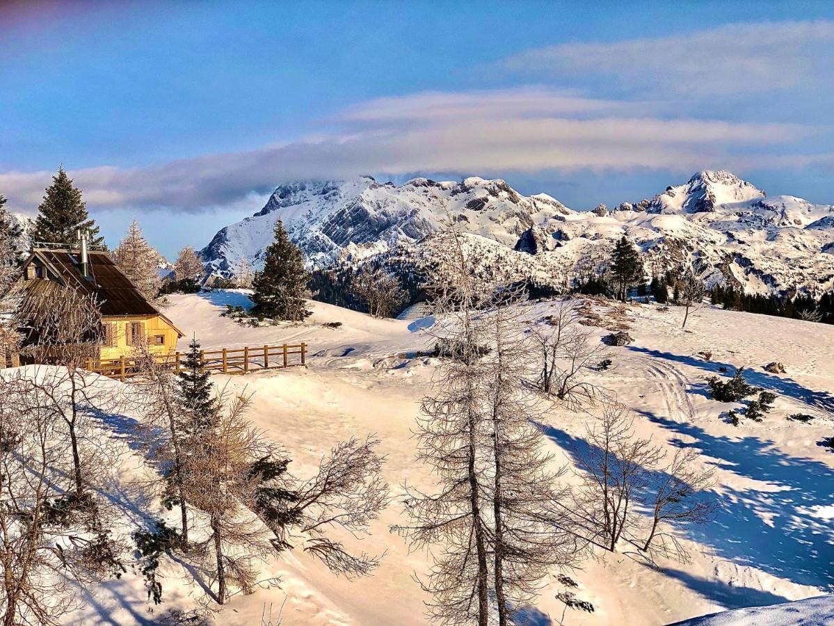 Chalet Velika Planina - I Feel Alps Stahovica 外观 照片